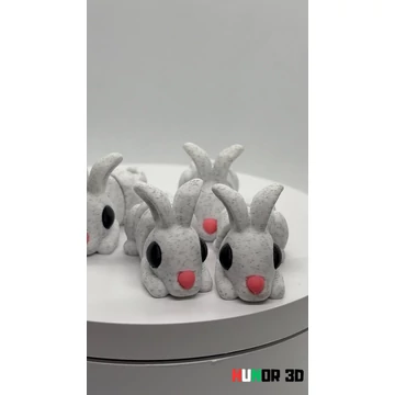 Nyuszi 2