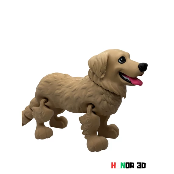 ÁllatPajtik - Golden Retriever