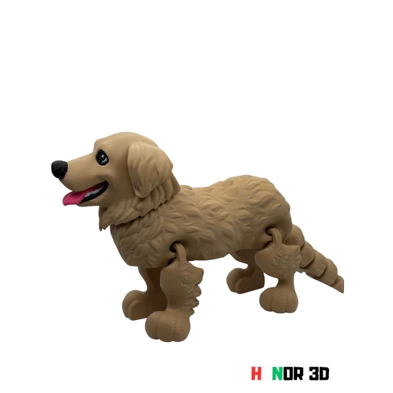 ÁllatPajtik - Golden Retriever
