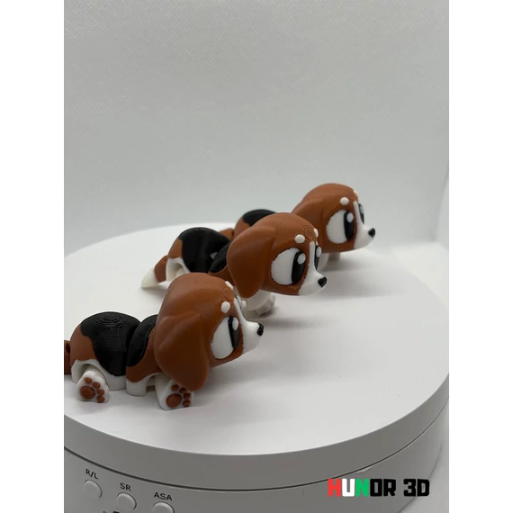 Beagle kutya