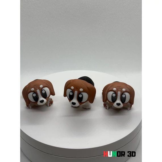 Beagle kutya