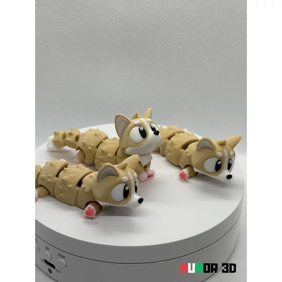 Corgi Korgi kutya