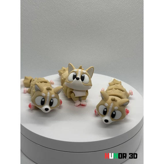 Corgi Korgi kutya