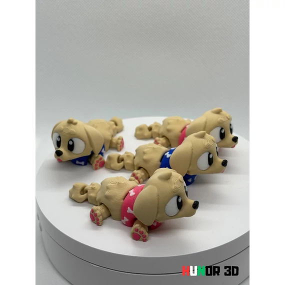 Golden Retriever kutya