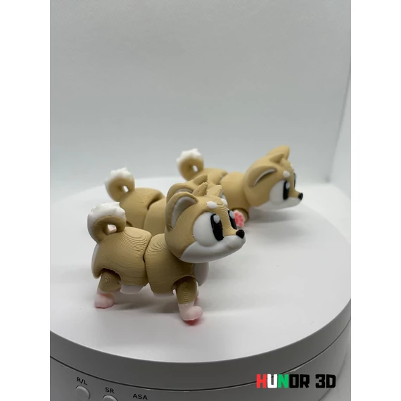 Shiba Inu kutya