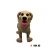 ÁllatPajtik - Golden Retriever