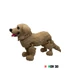 ÁllatPajtik - Golden Retriever