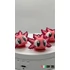 Axolotl 2