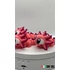 Axolotl 2